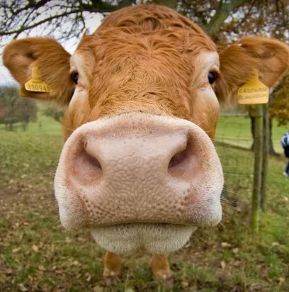 �����-������ ���������� �������� ������� � ��������� �����