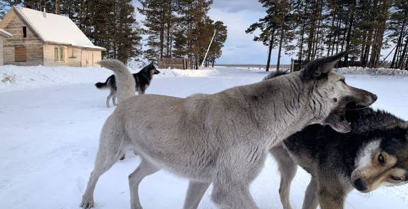 � �������� ���� ������� ����� ������ � ������ ������� ��� 