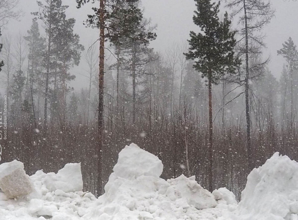 � ��������� ������� �������� ������� �����