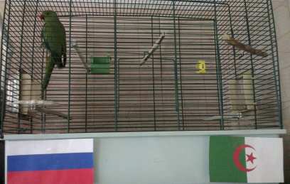 ��������� ������� ������ �� ������ ������� 