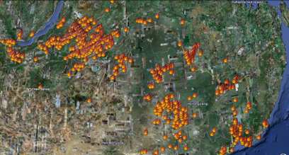 ���� ����� ����� �������� �������