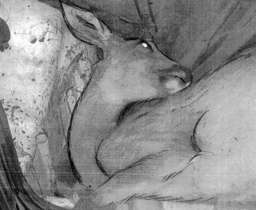 � ������� � ��������� � �������� ������� �����������