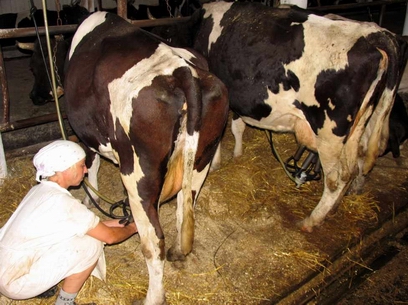 ������������� ������ � ������� �������� ����������� � ������