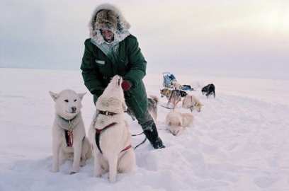 �������� ������������ ��������������� ���������� ��� �� � �������