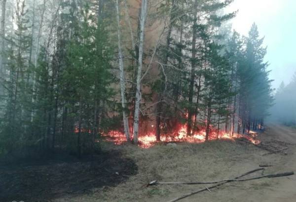 В Бурятии борются со сложным лесным пожаром