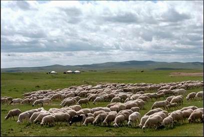 ���� � ������� ������������ ����� ��������� ��-�� �������� �������