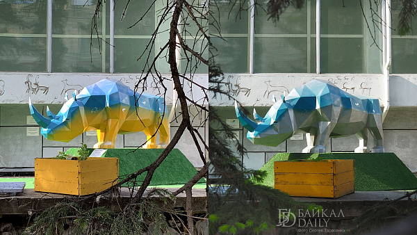 Музей в Улан-Удэ объяснил, почему перекрасили сине-жёлтого носорога  