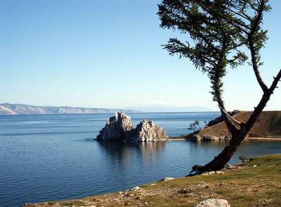 Экологи: туристы уничтожают реликтовые деревья на Байкале