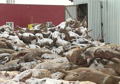 ��������: � ������� ��������� ����� ������ ������� � ��������