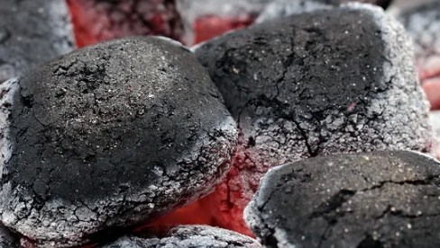 В Забайкалье лес загорелся из-за выброшенных углей