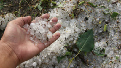 � ������� ����� �� ����� � ����� �������� 4,3 ��������