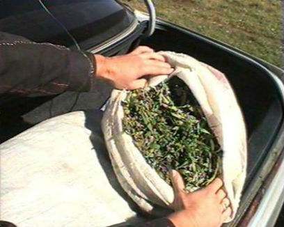 �� ������ 290 ��������� ��������� ������� �������� ����