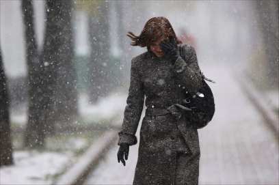 � ������� ��������� ��������� ��������������