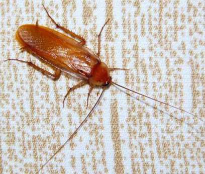 ������ �����: �������� ������������ � ����-���