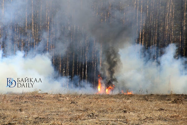 Жителю Бурятии дали год исправительных работ за сожжённый лес 