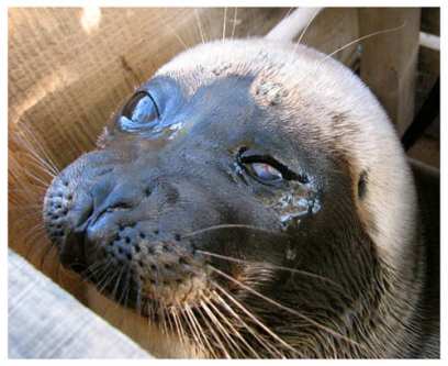 � ��������� ��������� � ���� ��-�� ��������� ����� ������� ����������� �����