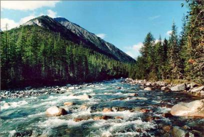 ��� � �������: ������� ������� ��������� ���� ������, ����� ������������� ������� ���������� �������