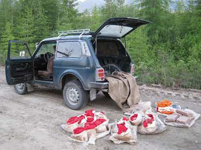 �� ������ �������, ���������� � �����������, ������ ��������� ����