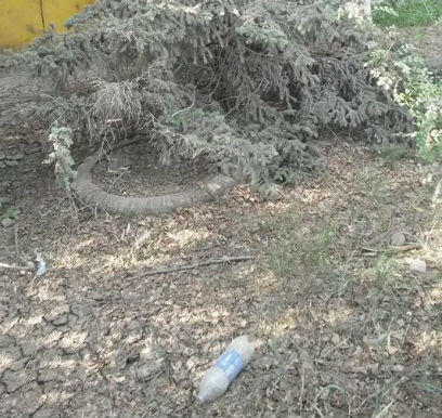 ����������� �������� ������������� ���������-��������� �� ���������� ������