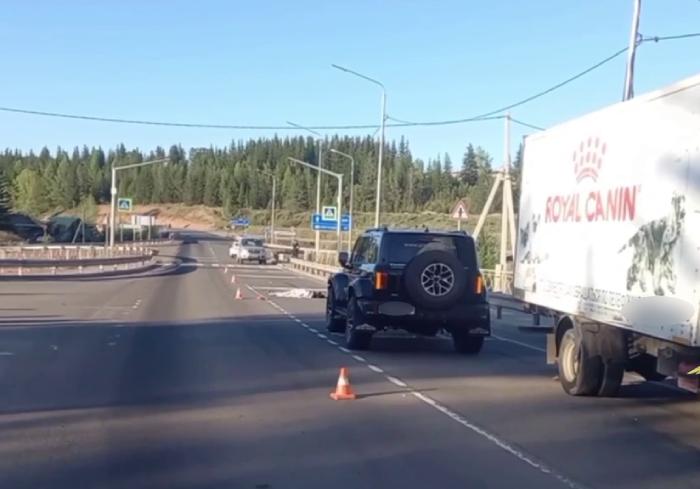 В Иркутской области водитель грузовика насмерть сбил пешехода и ...