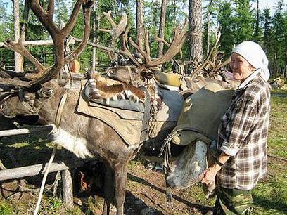 �� ������� ������� ������ ������ ������ � ������������ ������������� 