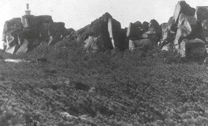 ���� ���������� � ������� ����� ������� ������ ������������� ��������