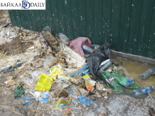 С улиц Читы убрали 3,5 тонн мусора 