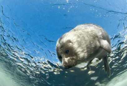 ���������� ������� ���������� � ������