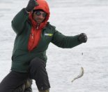 � ������� ��������� ����� �� �� ������������ �������