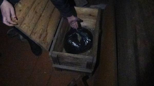 В Бурятии полицейские нашли у дебошира запасы конопли 