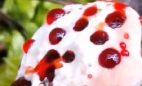 Жители Бурятии стали натыкаться на редкие «кровоточащие зубы»