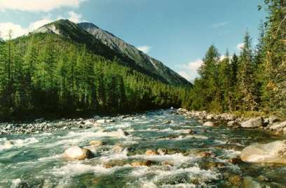 � ������� �������� �������� ����������� �������� �� �������� ���� ����-�����