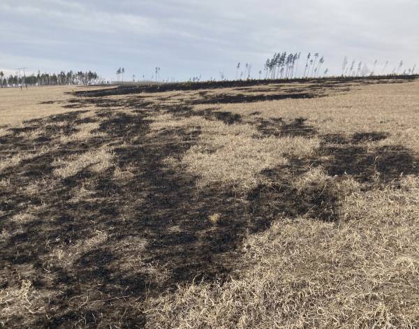 ���������� ��������� ������������ ������ �� ������ ����� 