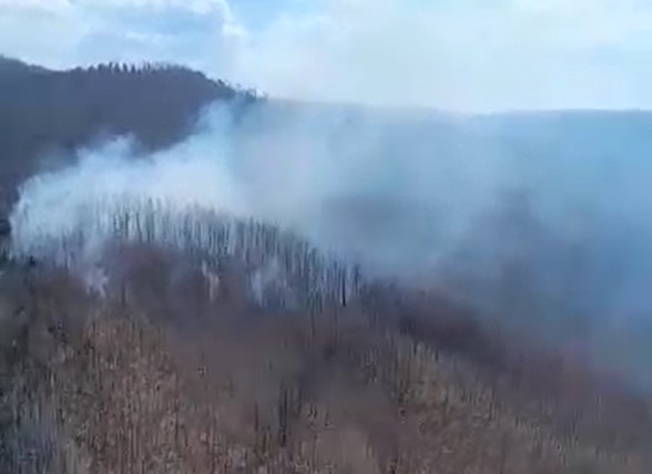 В Бурятии действует сложный лесной пожар на горе 