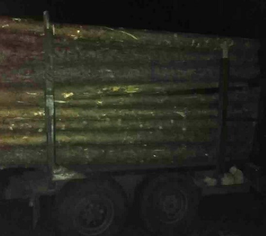 В Бурятии устроили погоню за «чёрным» лесорубом на грузовике 