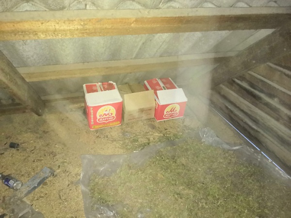 У жителя Иркутской области изъяли коробки с «травкой» 