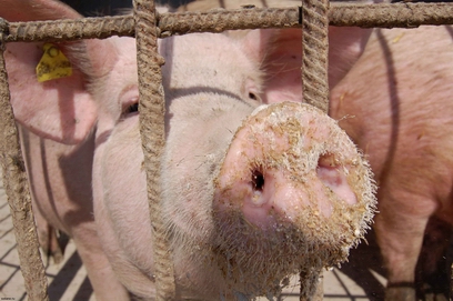 ��������� ������� �������� ���������� ������ �������������� � ����-�����