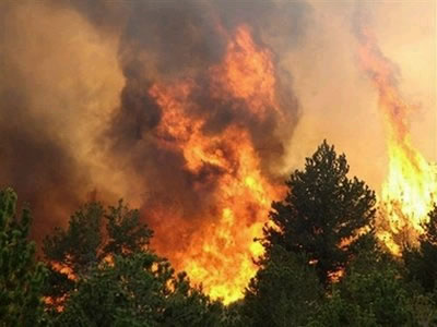 Бурятия не справилась с лесными пожарами