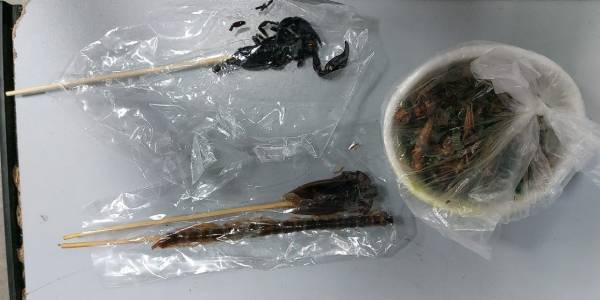 Жареный скорпион из Таиланда не прошёл контроль в аэропорту Иркутска