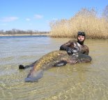 ��������� �������� ������� ������������