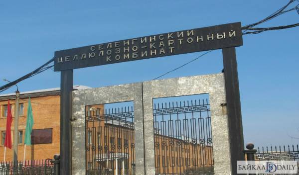 В Бурятии сотруднице Селенгинского ЦКК едва не оторвало руку 