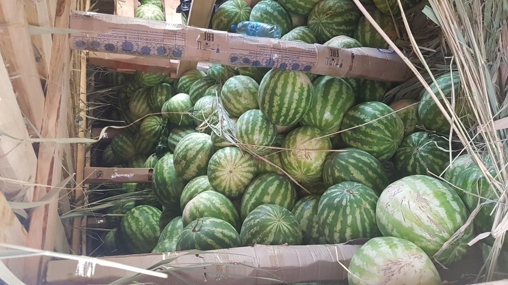 Какие арбузы надо убрать с полки пятерочка
