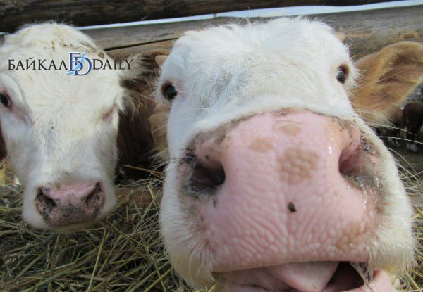 � ���������� � 90-������ ����������� ������ ������ � ������