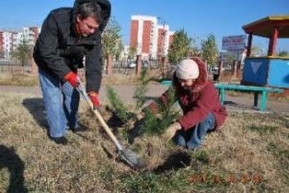 � ����-��� ��������� ��� 20 ������