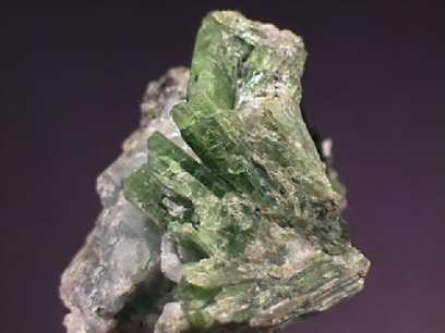 �׸���� �������� � ������� ���������� ������ � ������ ���������