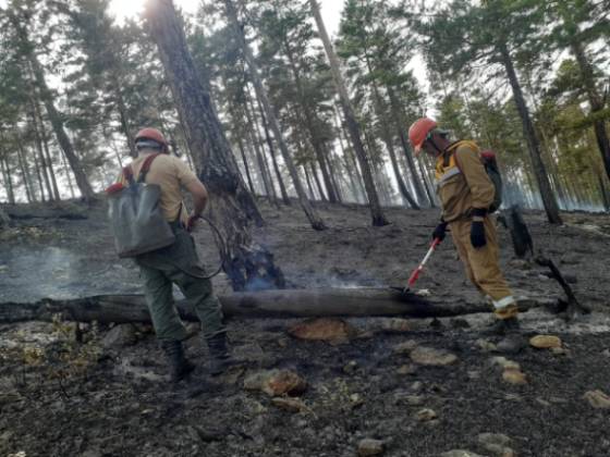 В Бурятии потушили лесной пожар 