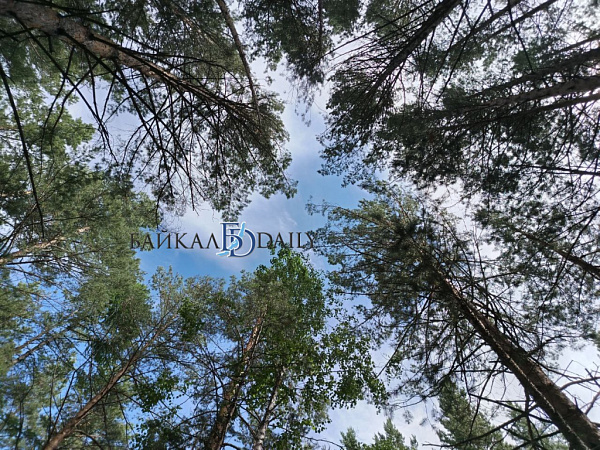 � ���������� ������ �������� �������� ������ �� ����������� ������� 