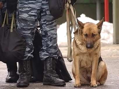 ��� ���������� ���������� �� ������������ �������� ���������� � ����-���