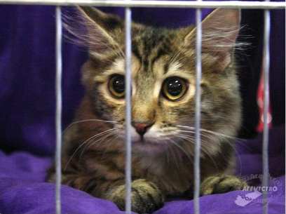 ����� �� ����-��� ������� ������� � ������������� �������� � ����