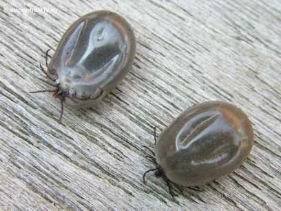 ���������� ����� � ������� ��������� ������